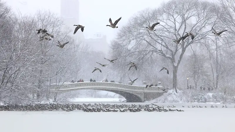 Tormenta Invernal En Nueva York